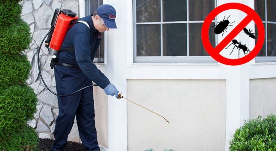 Güçlükonak Gümüşkurt İlaçlama böcek ilaçlama ve haşere kontrolü — ilaclama-tr.com